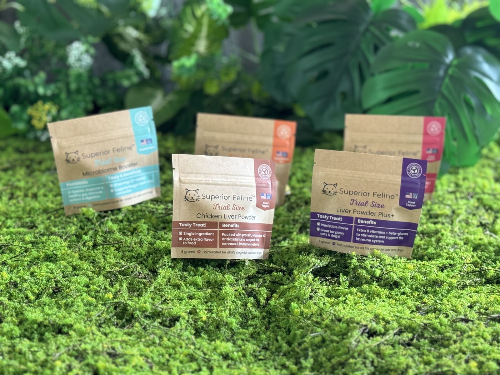 Clear-Window Compostable Pouch