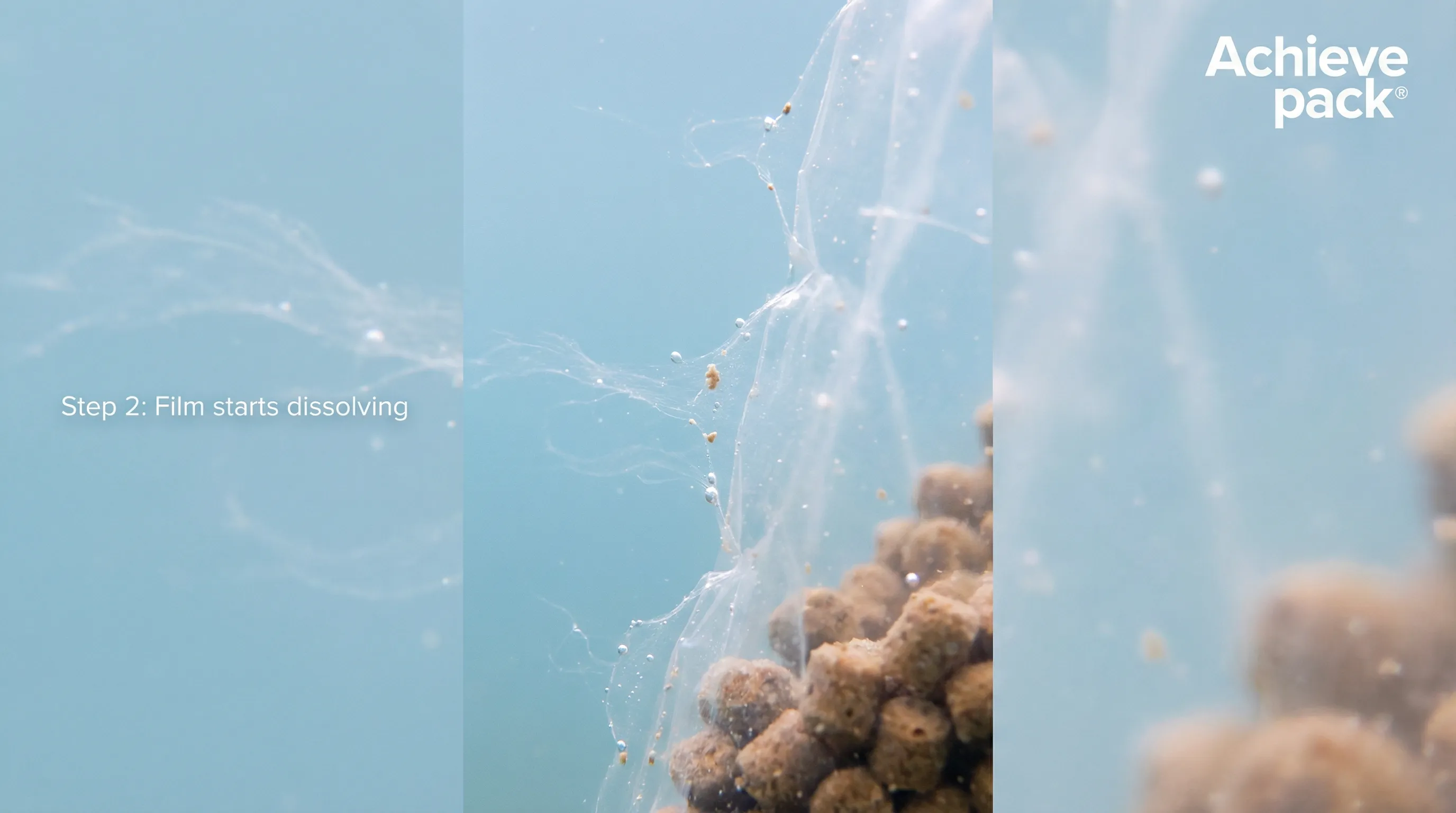 PVA Film Dissolving Step 2
